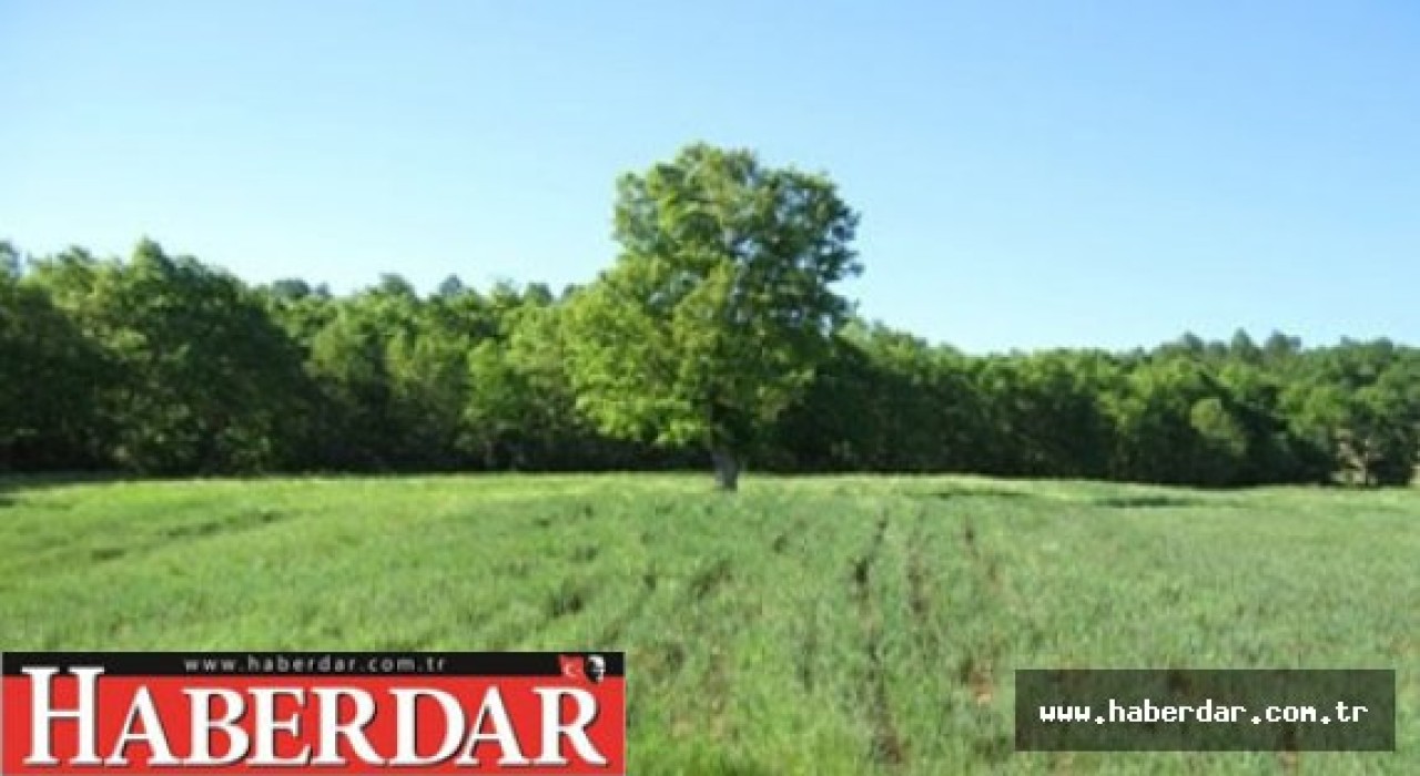 BELEDİYE ARSA SATIN ALARAK GÜÇLENİYOR