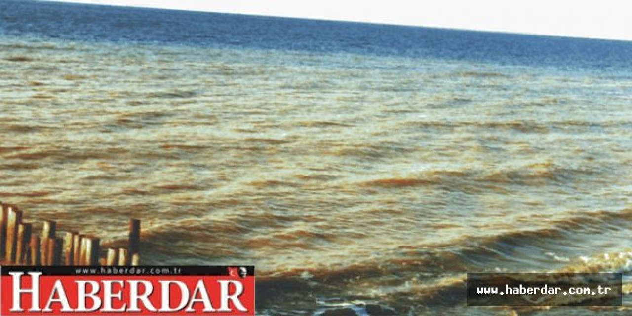 Silivride Deniz Kirliliği Sorunu