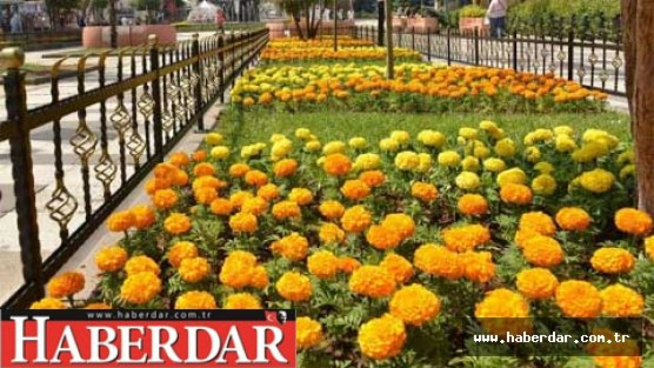 Avcılar’da yeşil doku artıyor