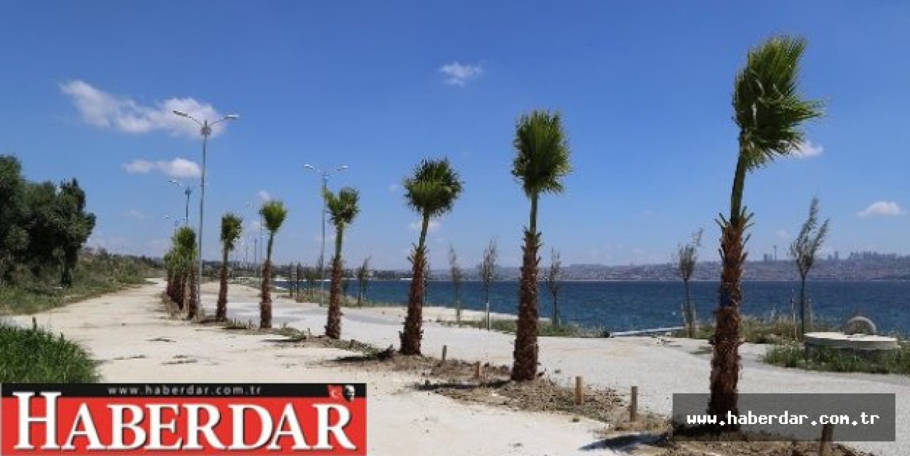 Onbinlerce ağaç dikilecek