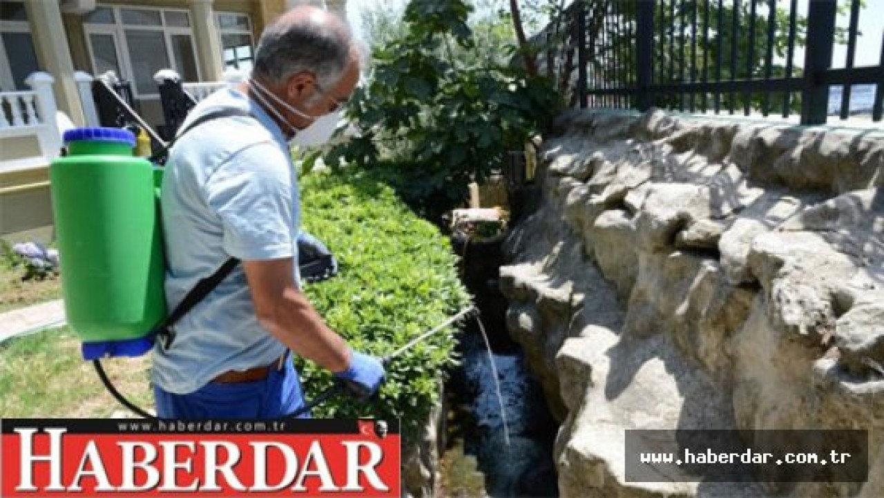 Beylikdüzünde sineklere rahat yok