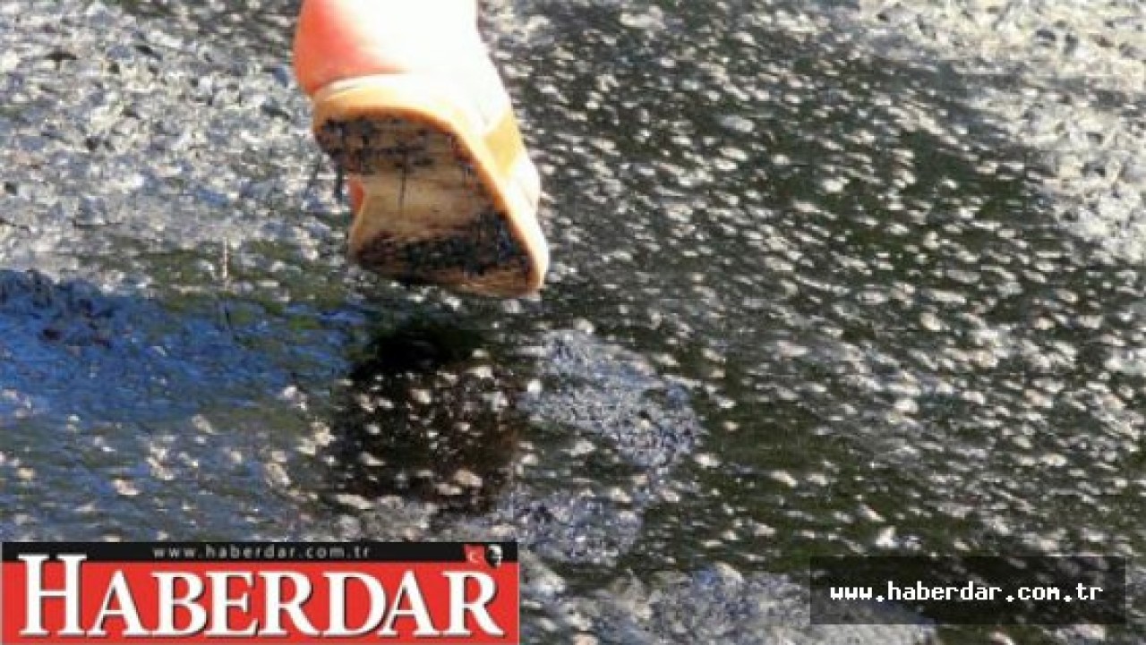 Marmariste sıcaktan asfalt eridi!