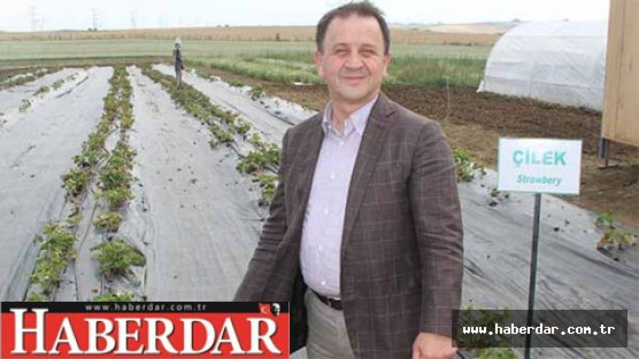 Başkan arazileri tarıma açtı