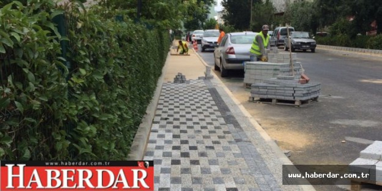 Eş zamanlı olarak çalışmalar sürdürülüyor