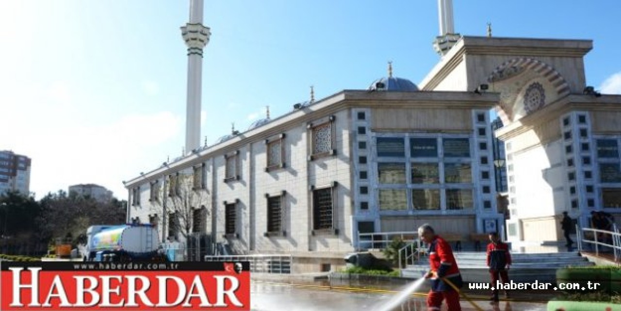 Bir Yılda Sivrisineklere Son!