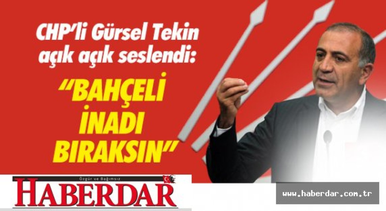 CHPli Gürsel Tekinden koalisyon için MHP lideri Bahçeliye çağrı..