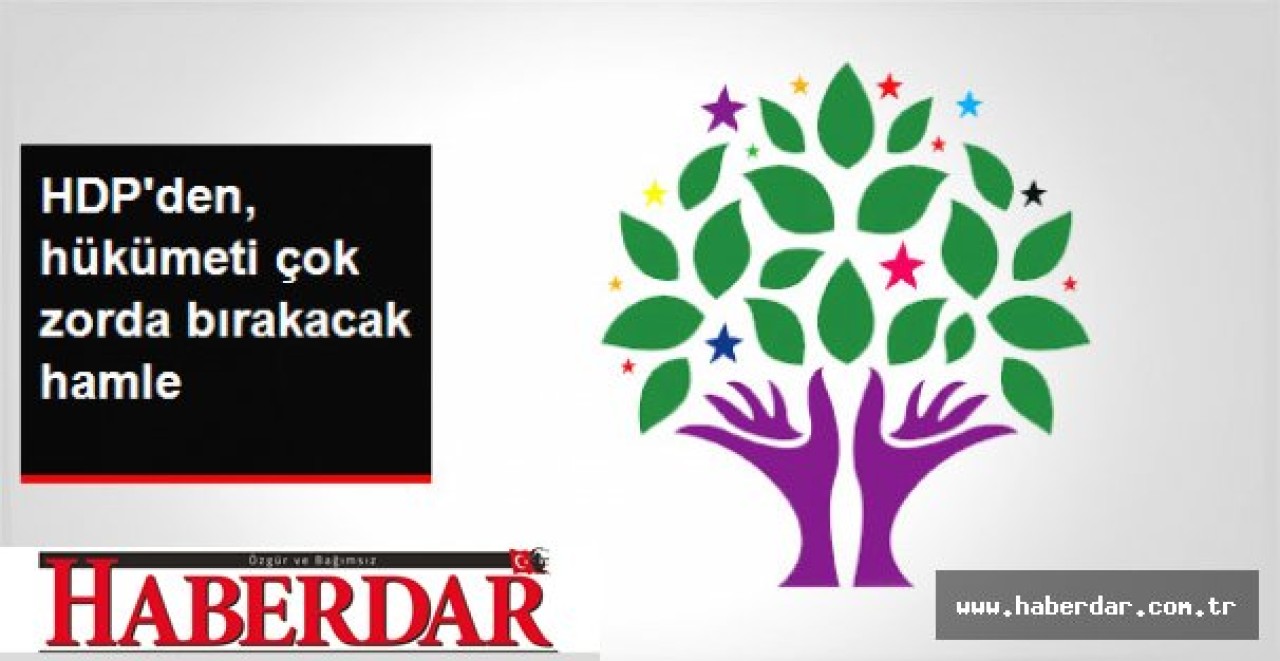 HDP, Hükümet Yetkilileri Hakkında BM Güvenlik Konseyine Dilekçe Sundu