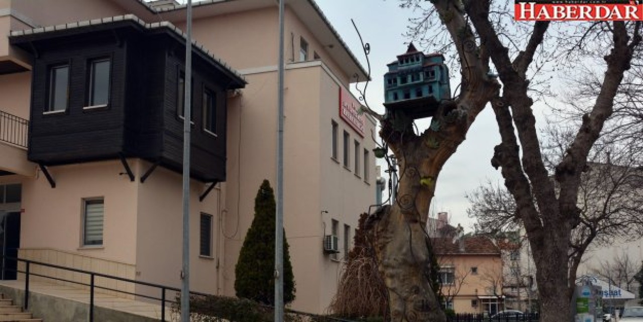 Büyükçekmece’nin kuşları üşümüyor