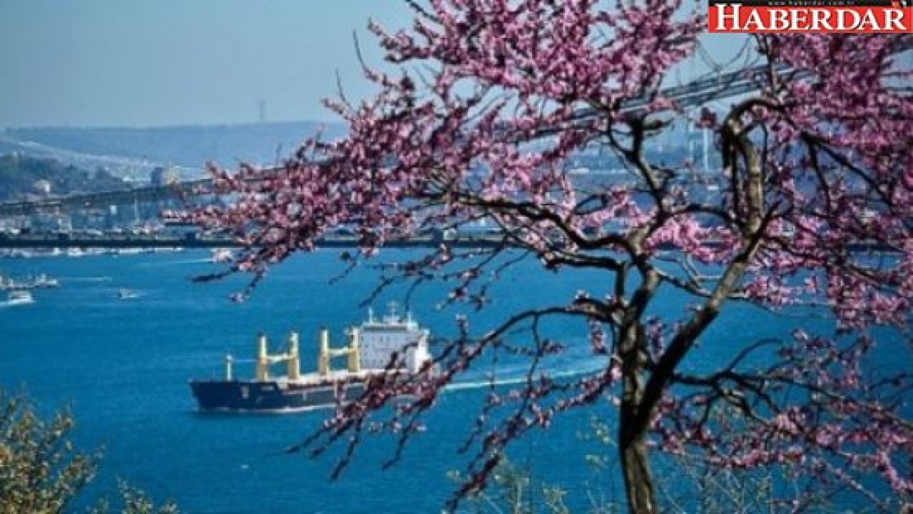 İstanbulda erguvanlar açtılar