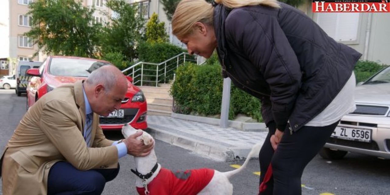 Evcil hayvan sahiplerine uyarı!