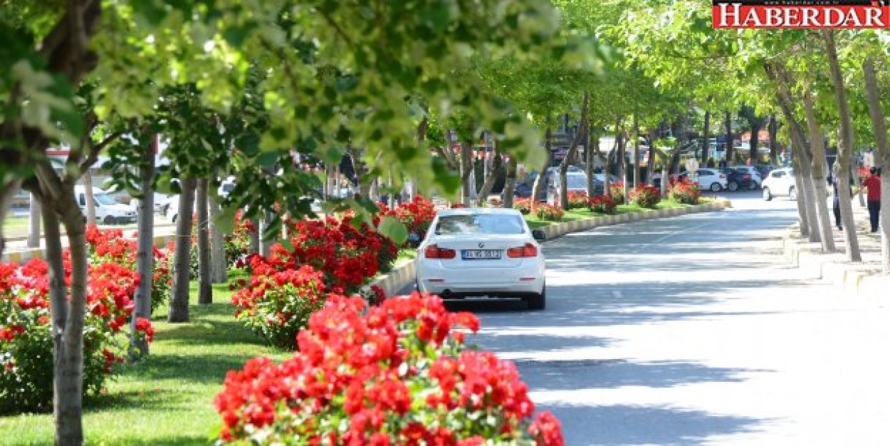 GÜLLER İÇİNDE BEYLİKDÜZÜ