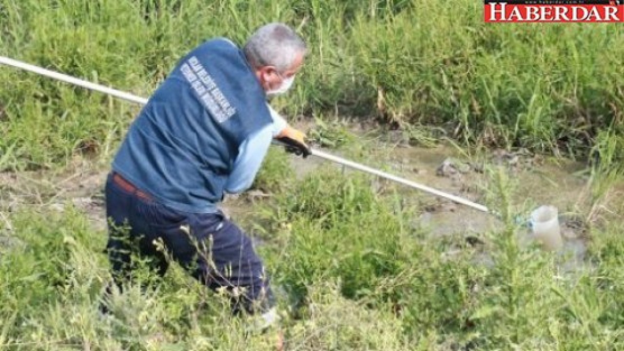 Avcılarda sineklere karşı ilaçlama