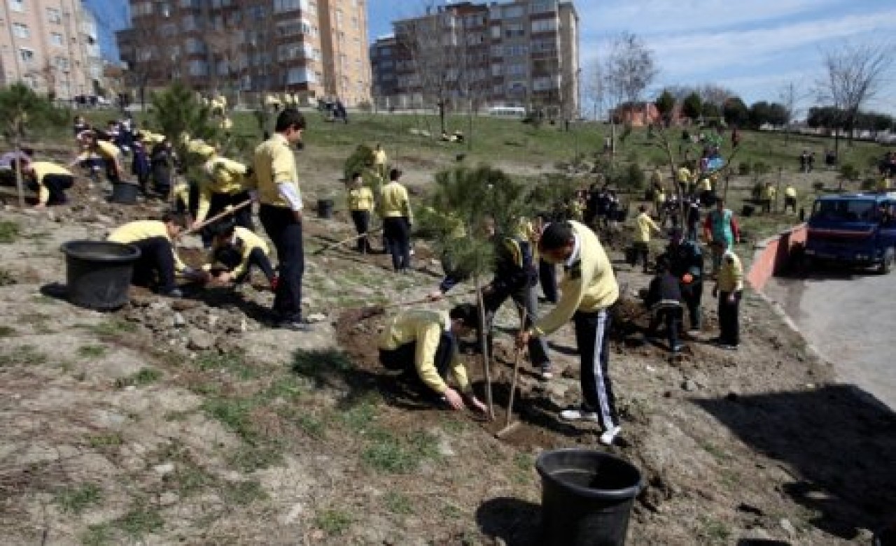 Minik eller ağaç dikti