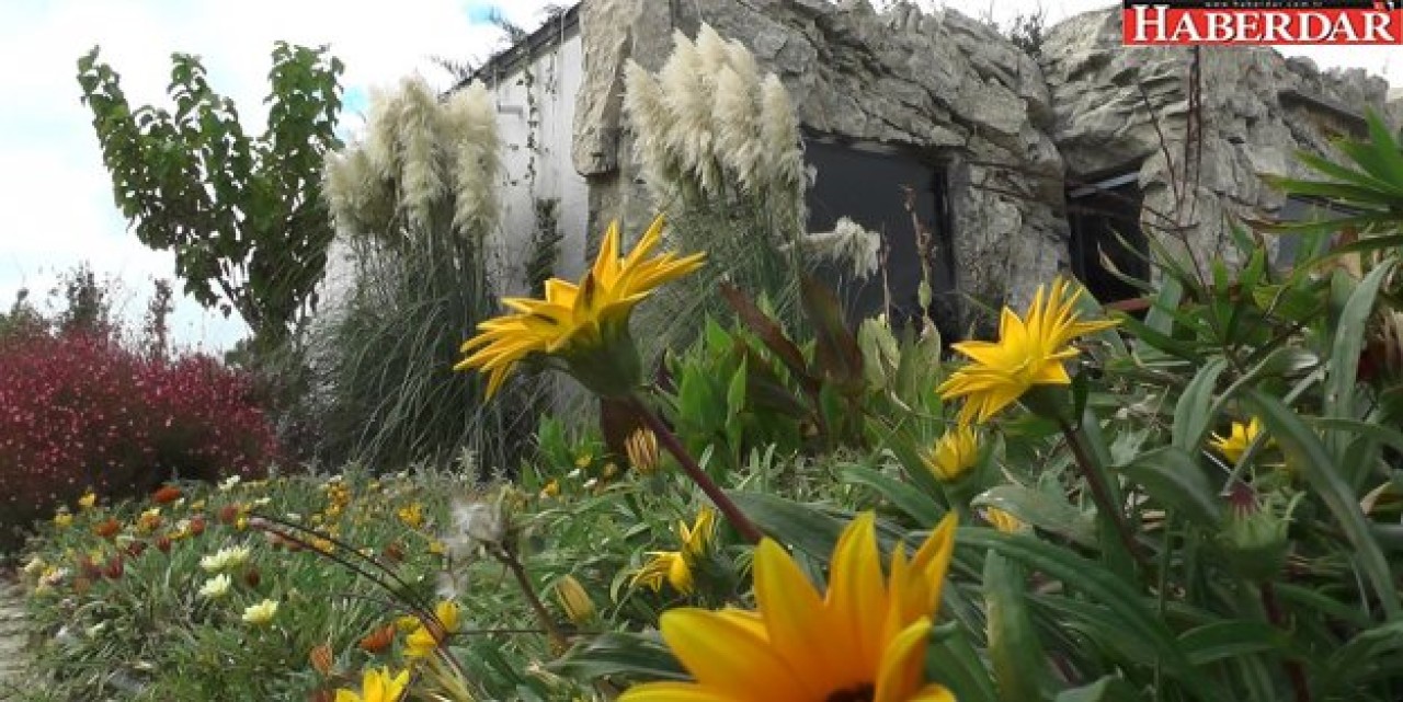 Büyükçekmecede &quot;Yeşil Çatı&quot; uygulaması