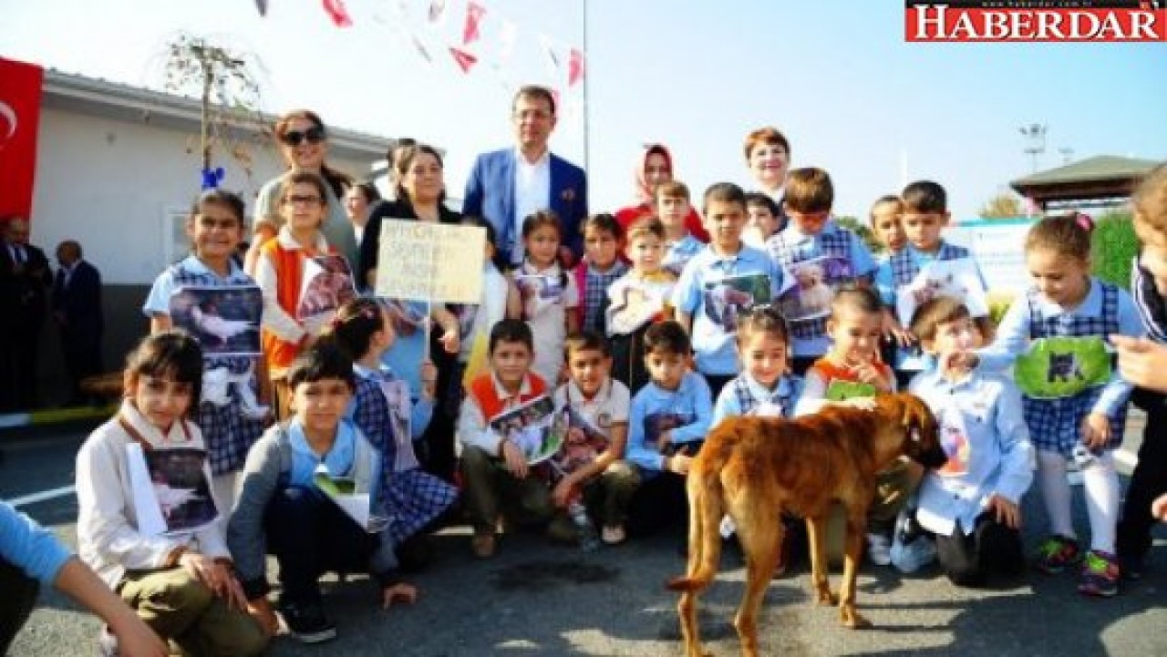 Hayvan bakım evi Beylikdüzünde açıldı
