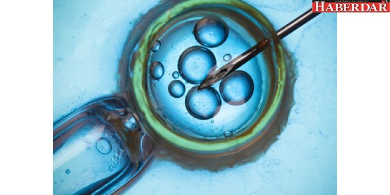 Tüp bebek doktoru kendi spermini kullanmış