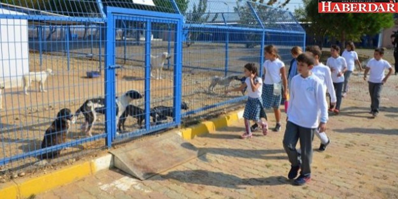 Silivride 4 Ekim etkinliği