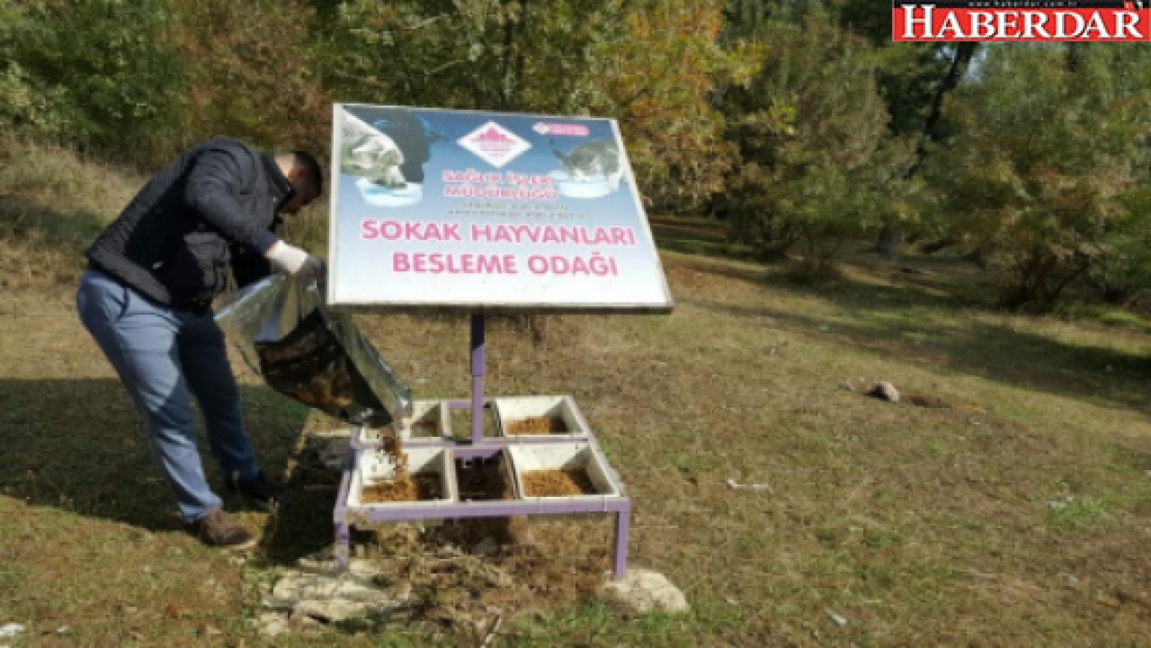 Çatalca belediyesi onlara sahip çıkıyor