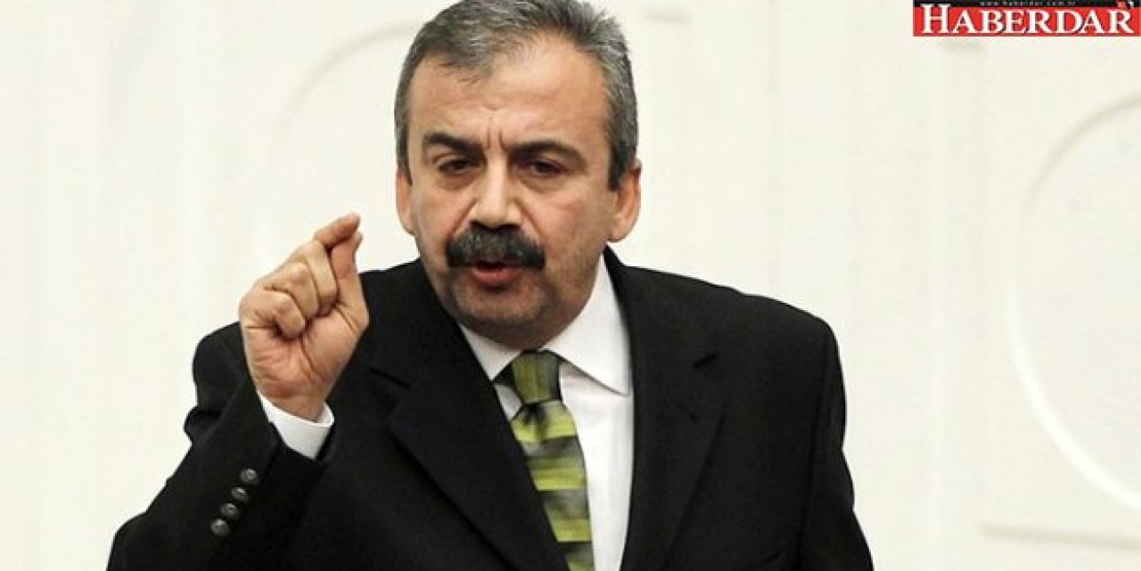 Sırrı Süreyya Önder, Gözaltına Alındı