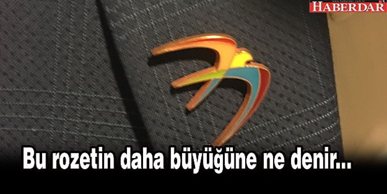 Bu rozetin daha büyüğüne ne denir...