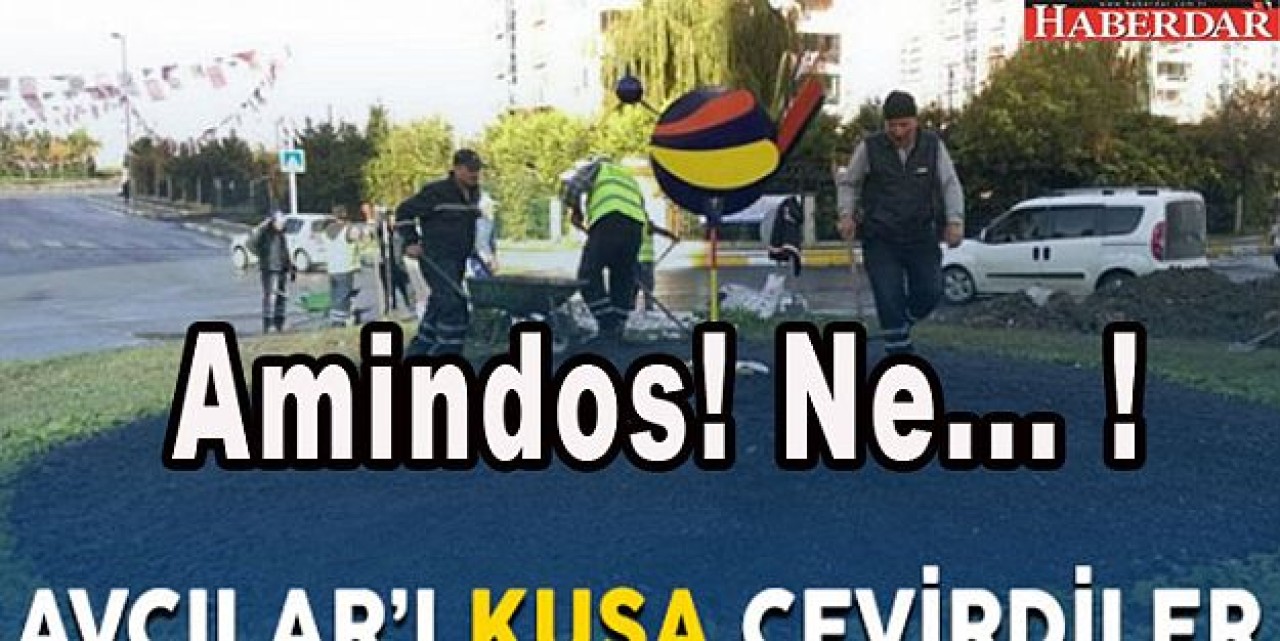 Amindos bir kuşsa Avcılar da bir köy!