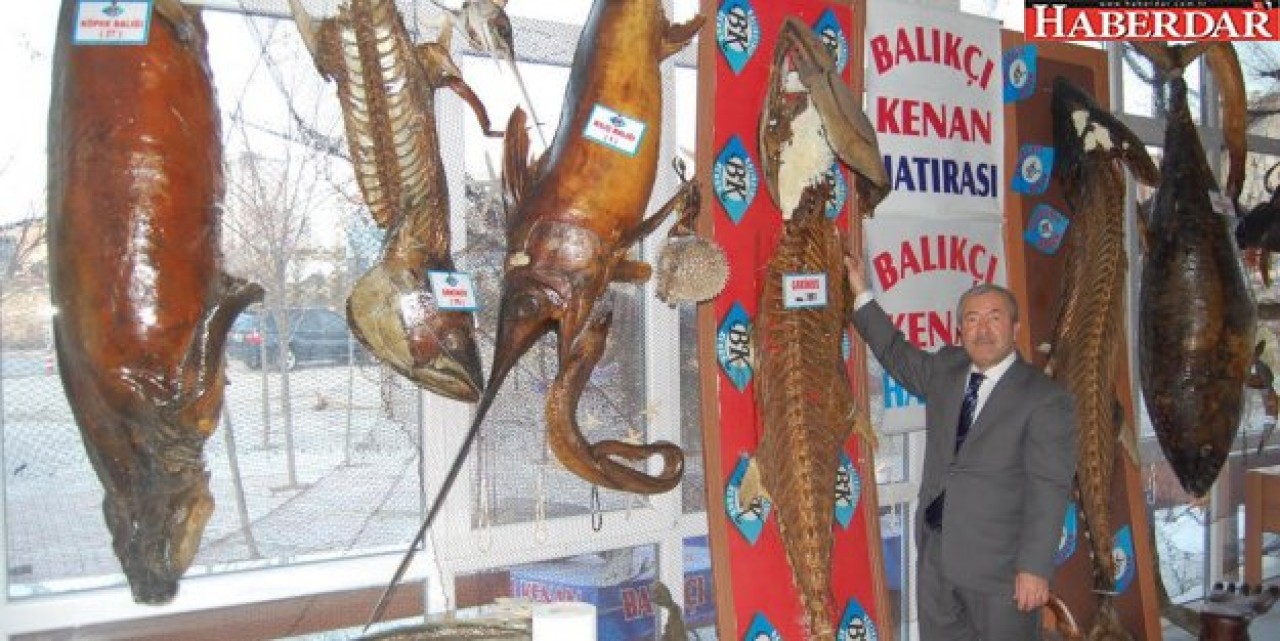 ÖĞRETMENLER BALIK MÜZESİNDE BULUŞUYOR