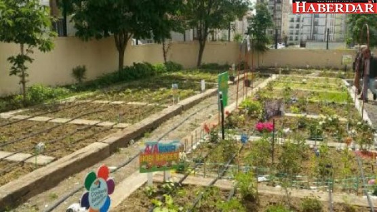 Beylikdüzünde hobi bahçeleri artıyor