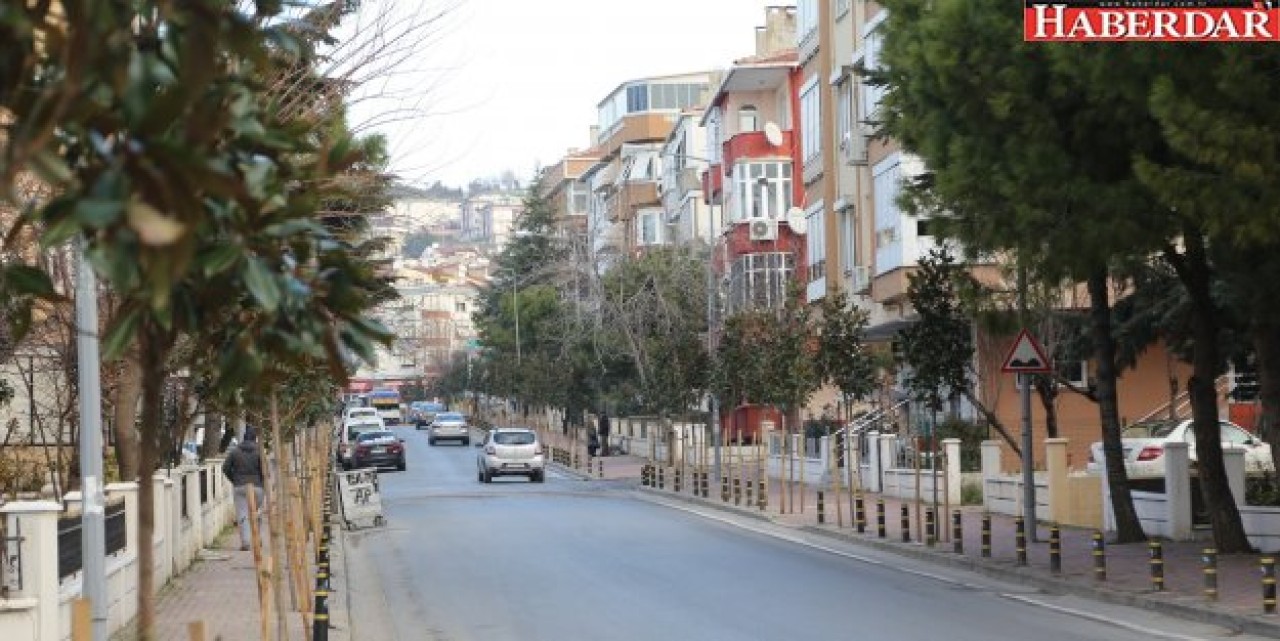 Büyükçekmece, manolya kokacak