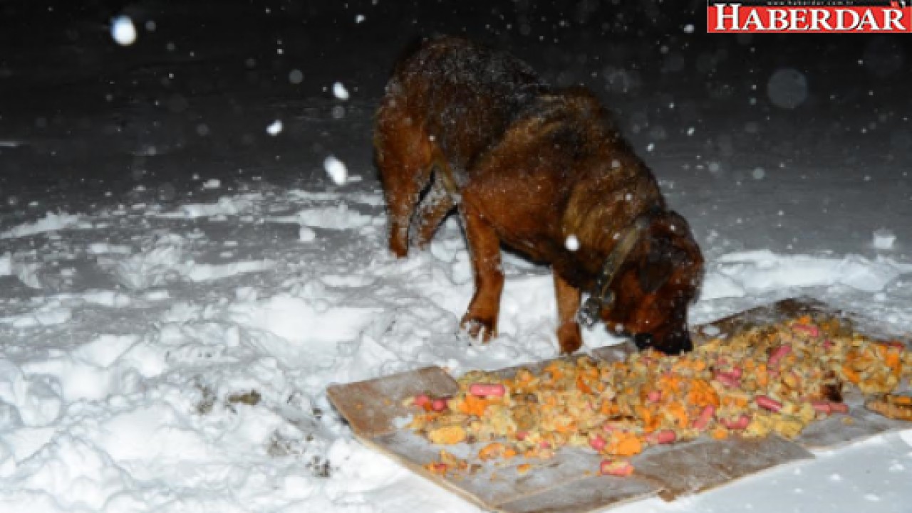 Beylikdüzü Belediyesi onları unutmadı