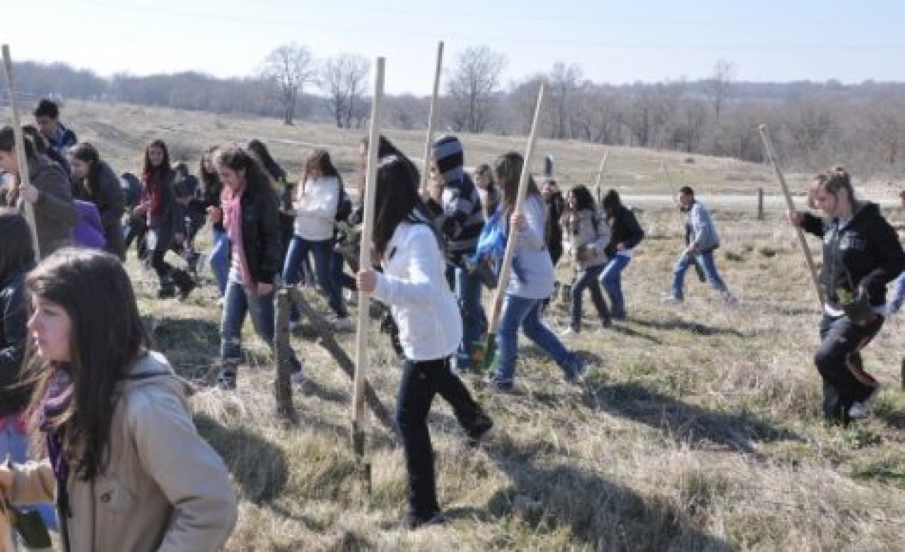 SİLİVRİ’YE 5 BİN 500 AĞAÇ DİKİLDİ