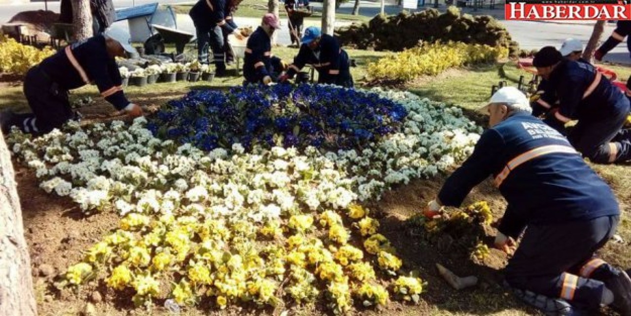 AVCILAR’IN PARKLARINDA ÇİÇEKLER AÇAR