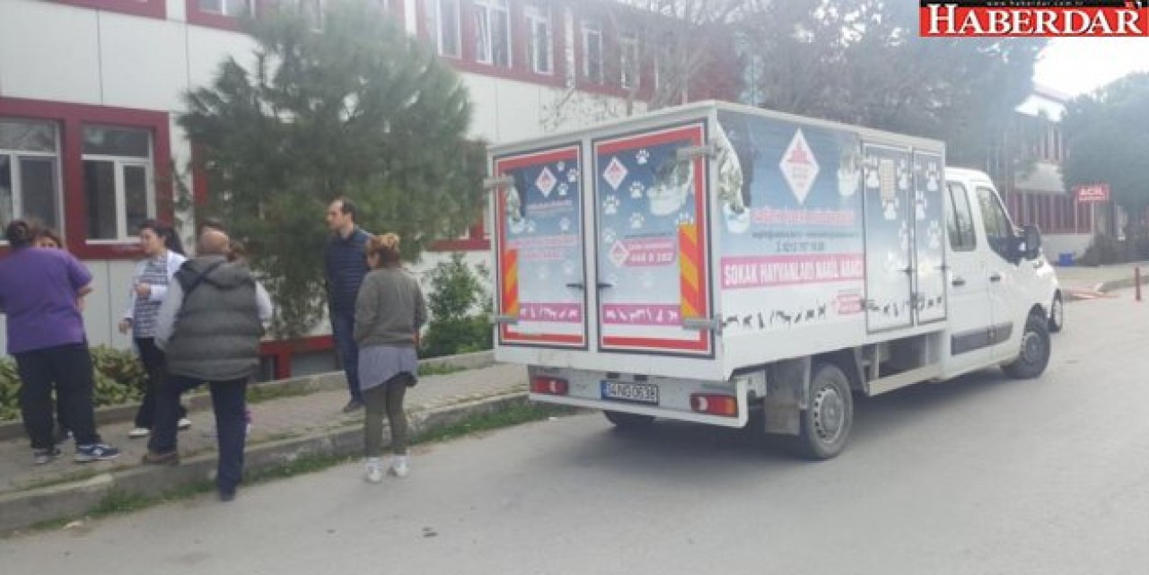 Ruhsatsız çiftlikte kaçak hayvanlar bulundu