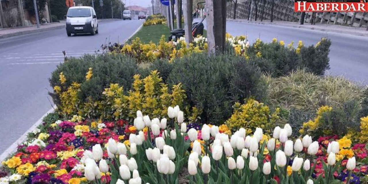 Bahar mevsimi en çok Büyükçekmece’ye yakışıyor