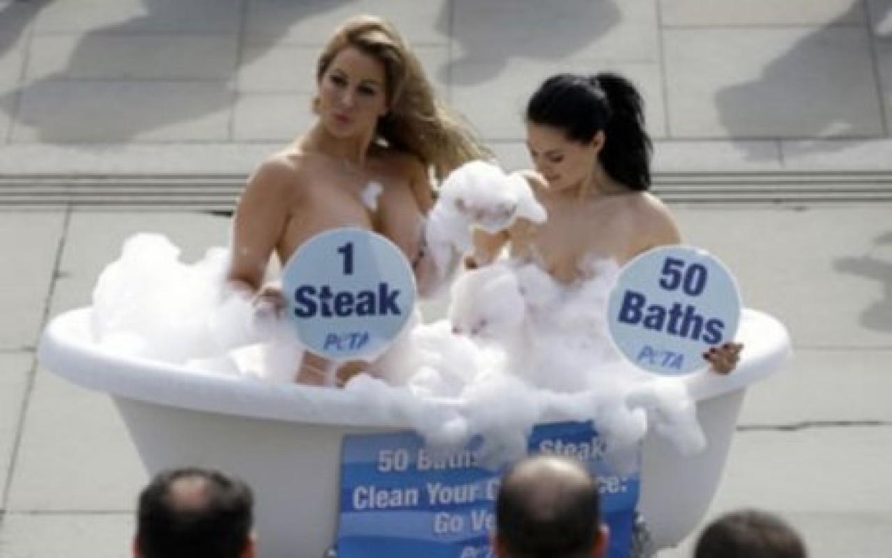 PETA'dan 1 taşla iki kuş