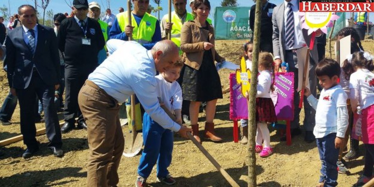 13 şehidin anısına 13 çınar ağacı