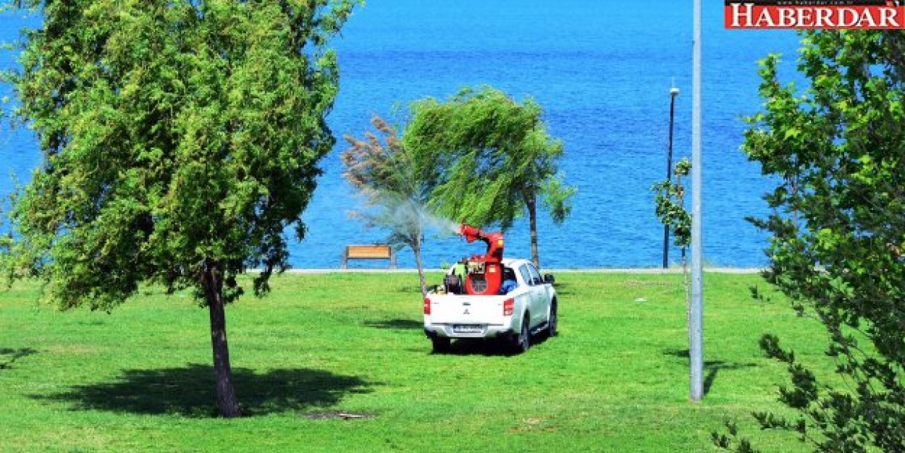 BU YAZ SİVRİSİNEKSİZ GEÇECEK