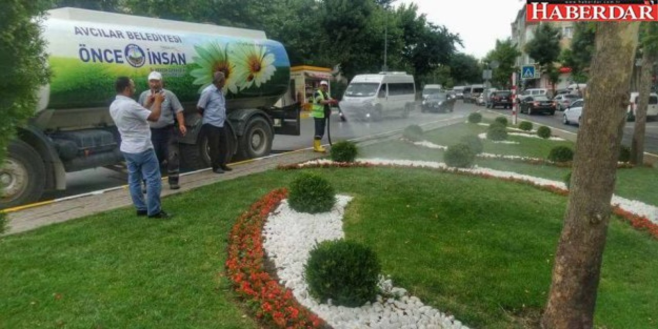 AVCILAR’DA YAZ BAŞKADIR