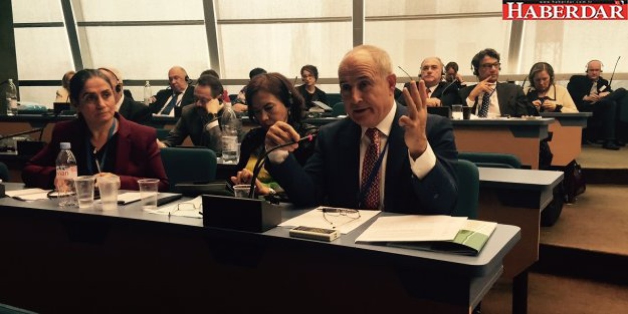 Hasan Akgün:  Avrupa Parlamentosu yanlış yapmıştır!