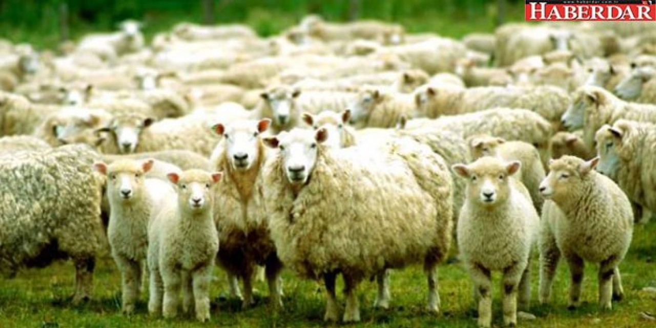 Kurban Bayramında kaç gün tatil?