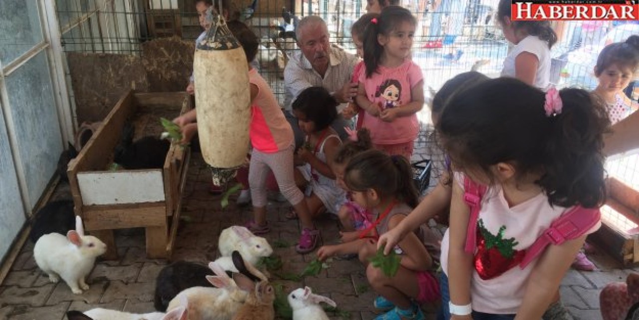 BURASI ŞEFKAT YUVASI!