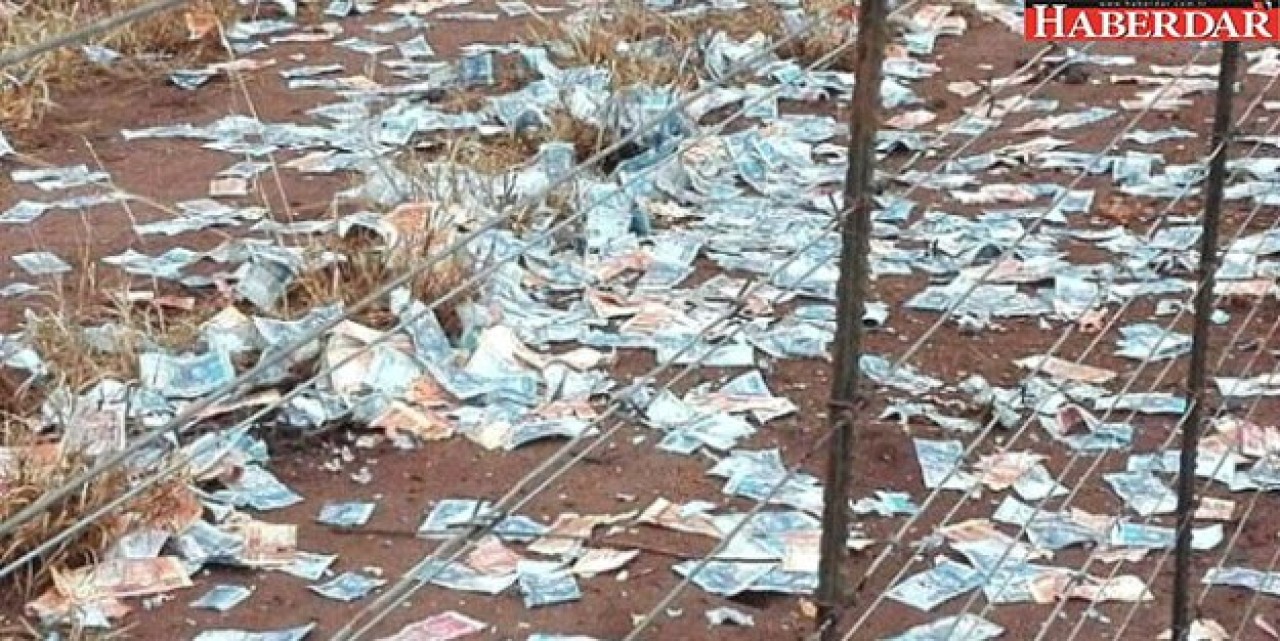 Gökten Milyon Dolarlar Yağdı