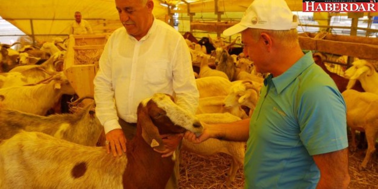 Akgün: Kurban Bayramı için tüm tedbirlerimizi aldık