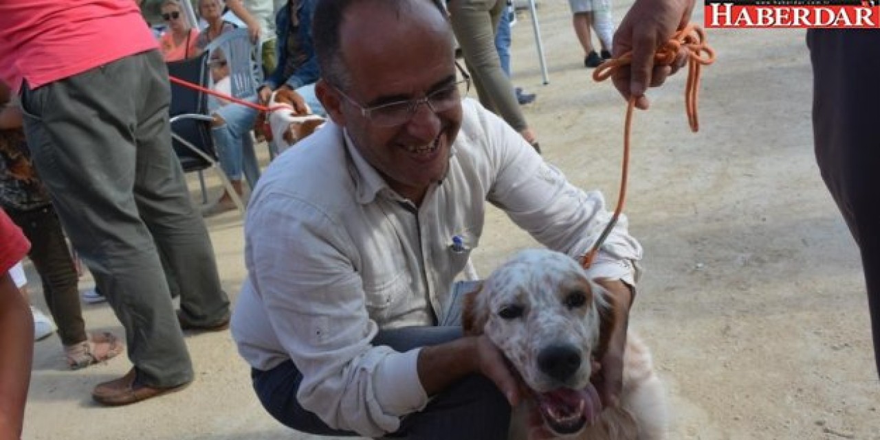 Fermalı Av Köpekleri Irk Yarışması yapıldı