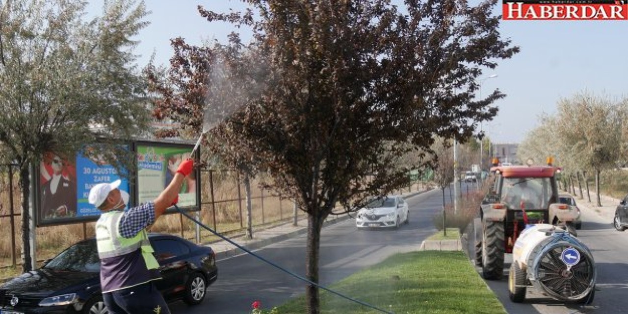 Büyükçekmece’nin yeşil alanları sonbahara hazırlanıyor