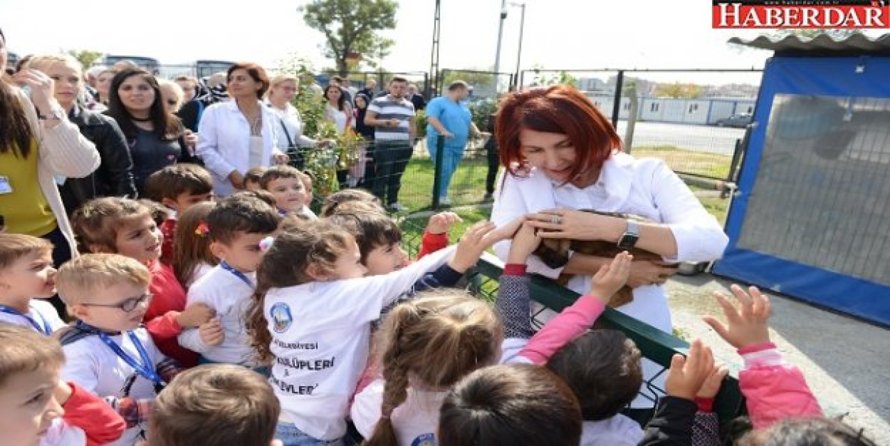 Çocuklara hayvan sevgisi