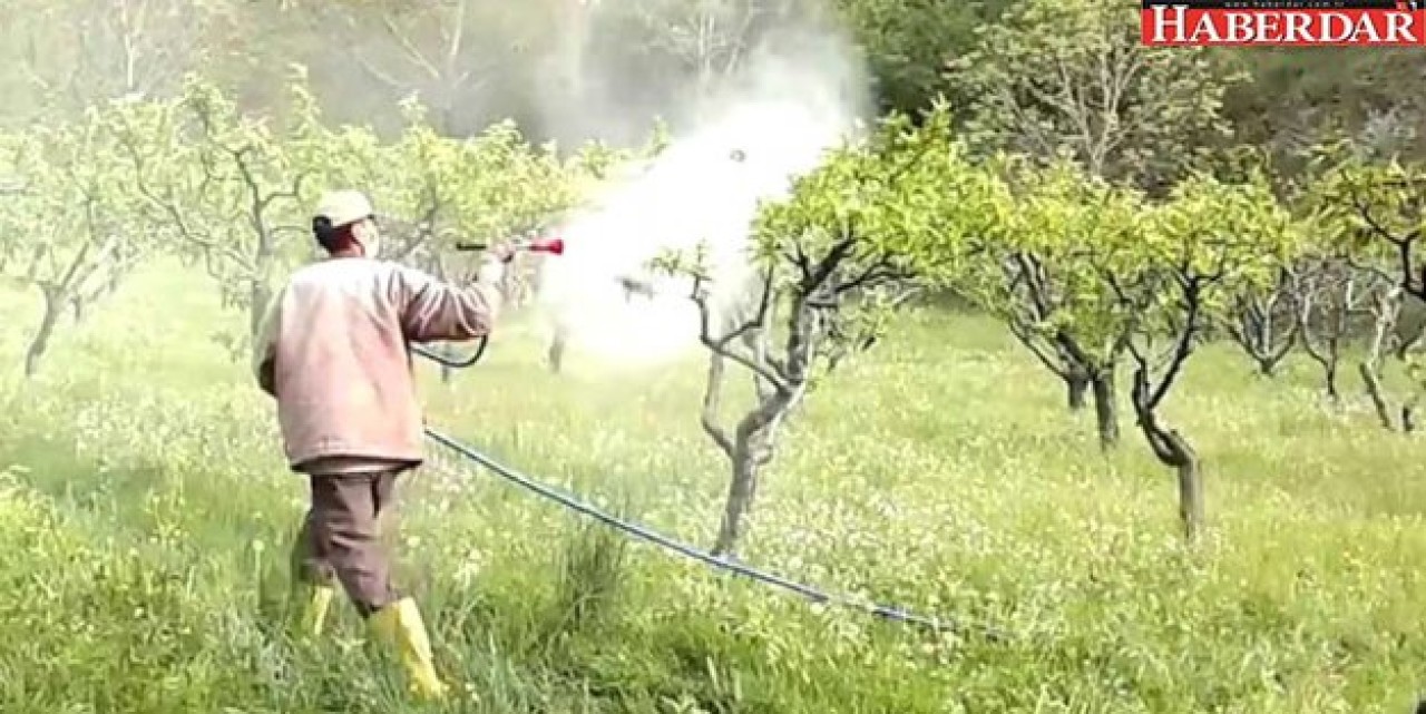 Tarlaya Sıkılan Böcek İlacı 20 Can Aldı