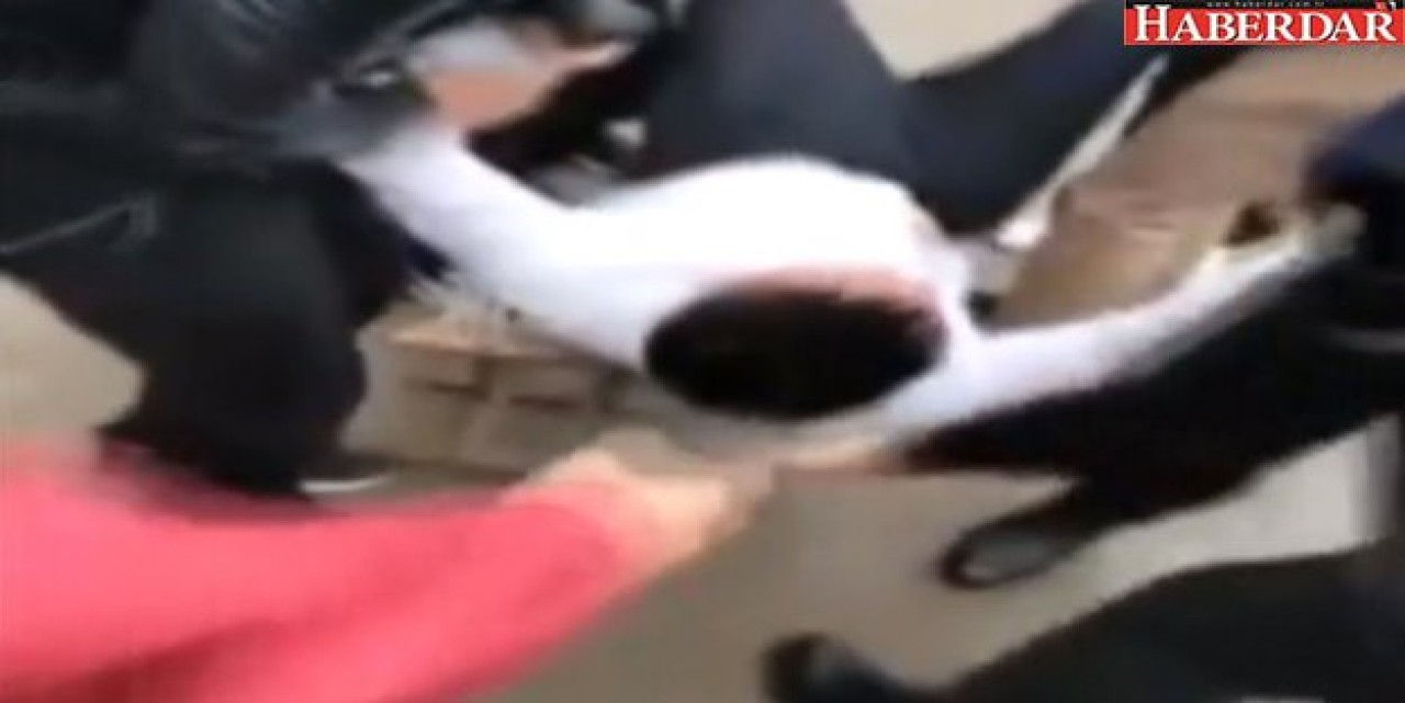 Geleneksel Düğün Şakası, Damadı Öldürdü!