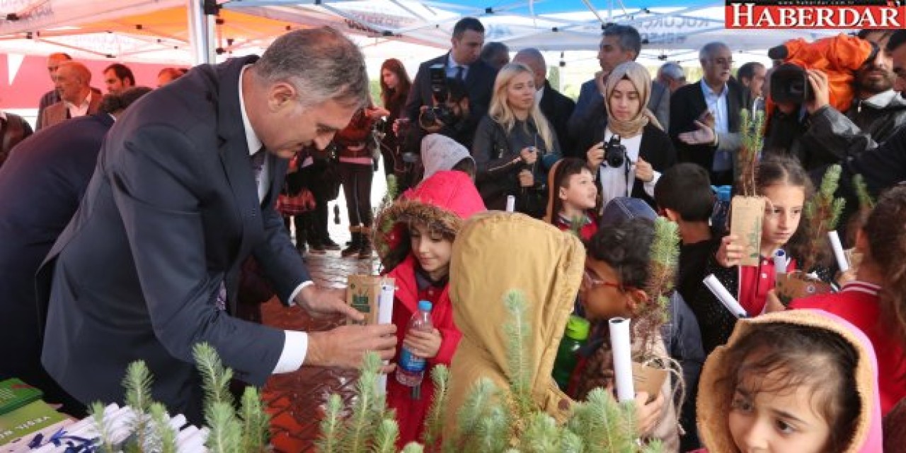 Küçükçekmeceye İğde Ağaçları Dikildi