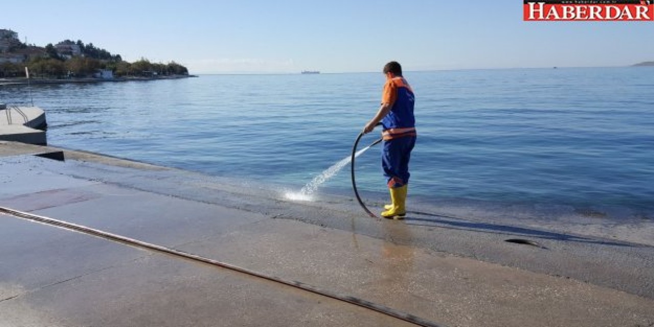 Büyükçekmecede lodosun izleri silindi