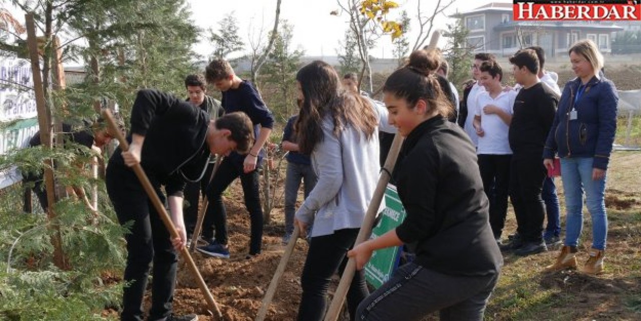 Büyükçekmece’de yüzlerce ağaç daha toprakla buluştu